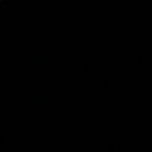 Meet your Posher, Payton